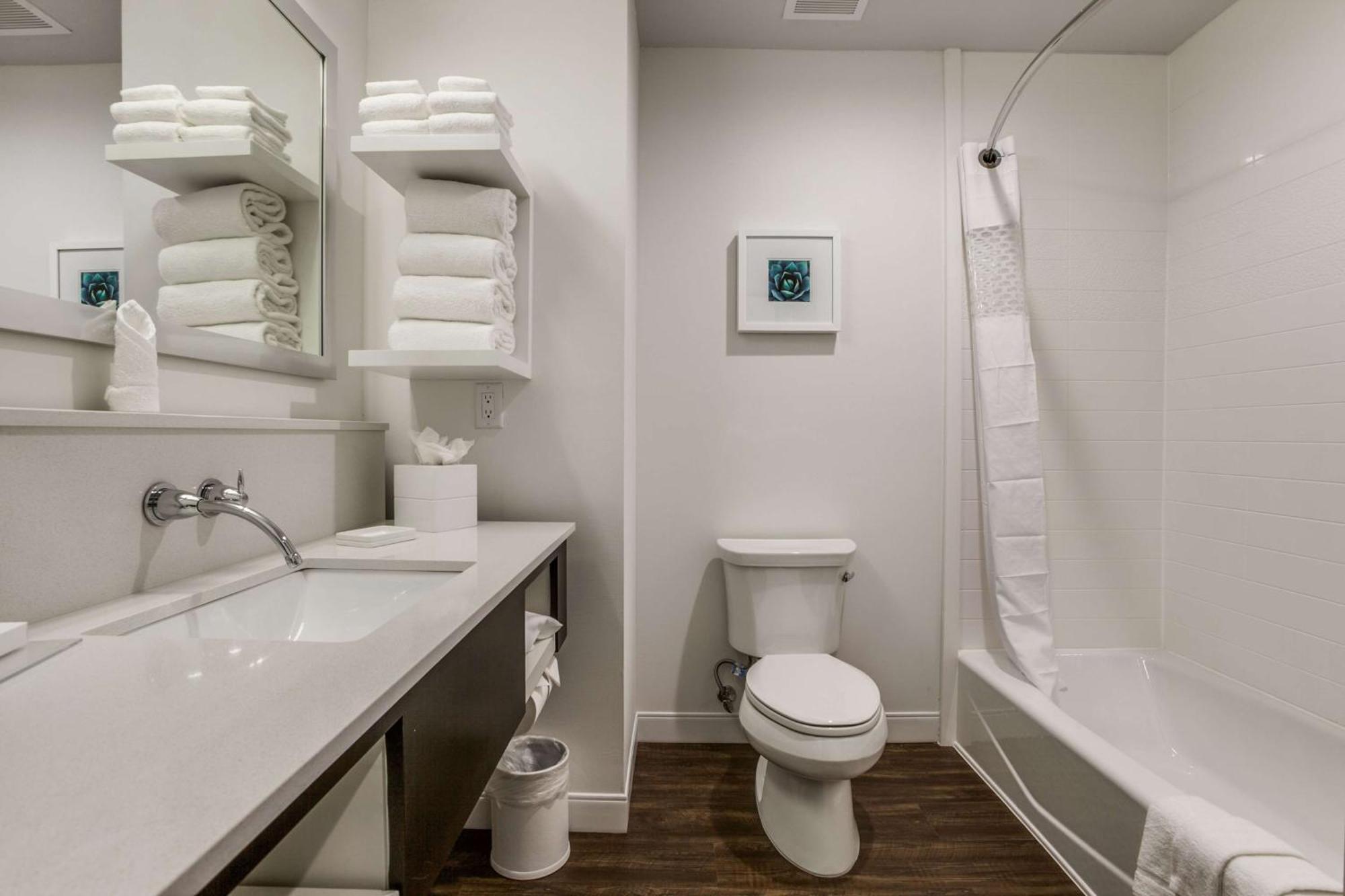 Hampton Inn & Suites Dallas-Central Expy/North Park Area Eksteriør billede